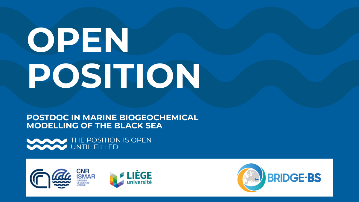 Postdoc in Marine Biogeochemical Modelling of the Black Sea at CNR-ISMAR —  BRIDGE Black Sea