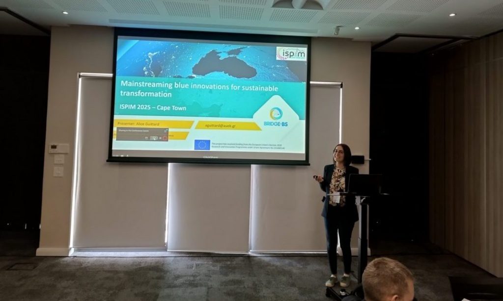 BRIDGE-BS success reaches new shores at the ISPIM Connects Conference in Cape Town!