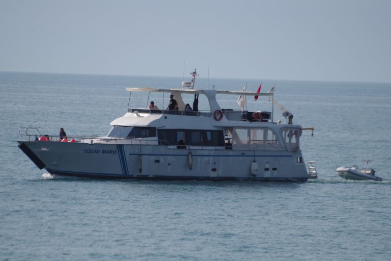 PNTX8818