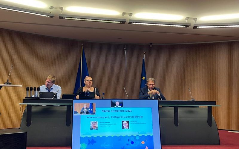 354049825_253399283971362_2268572978613585730_n