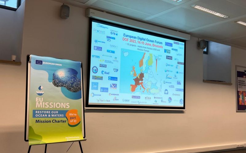 354053836_253399200638037_8469122500694301167_n