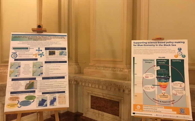 404922622_337130065598283_9170236659415207219_n