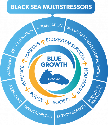 Black Sea Multistressors
