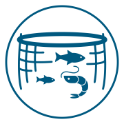 blue growth icons-05