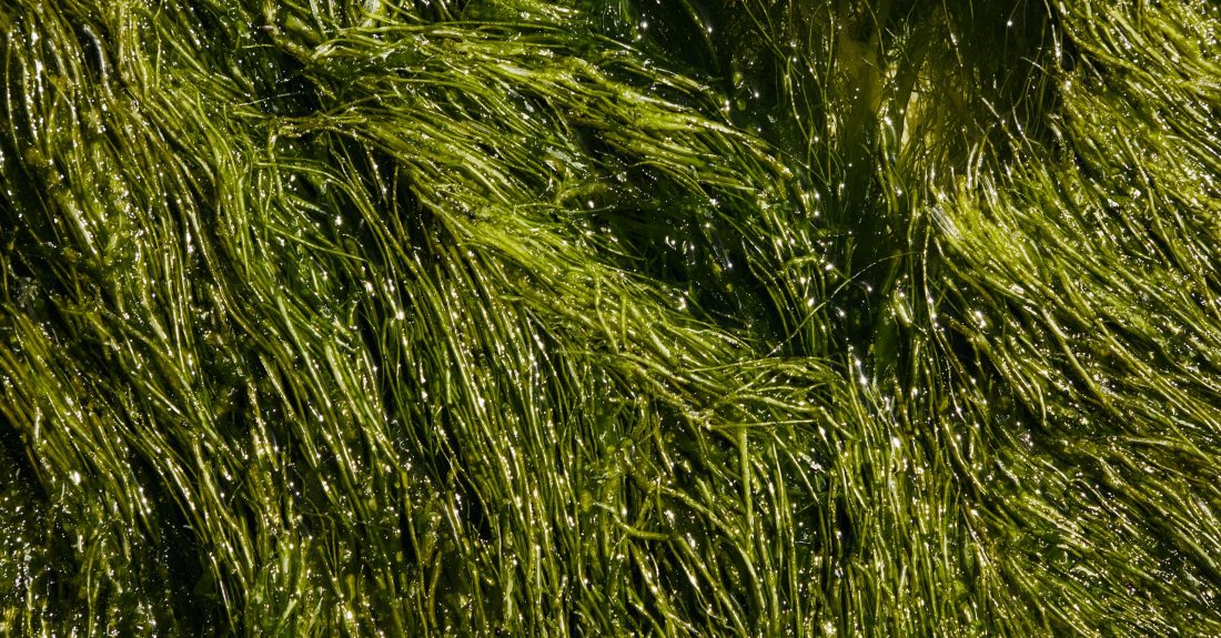 pexels-laker-6156384